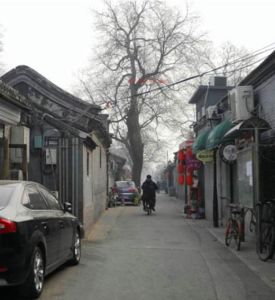 板腸胡同 板腸胡同