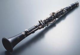 迴旋曲式 迴旋曲式