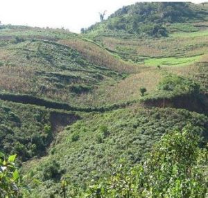 壩歪自然村 壩歪自然村