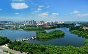 古黃河森林公園 古黃河森林公園