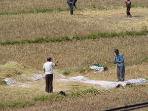 勺洛自然村 勺洛自然村