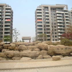 華僑綠洲 華僑綠洲