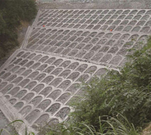 災害防治工程 災害防治工程