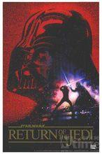 星球大戰：武士復仇