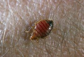 寄生物學 寄生物學