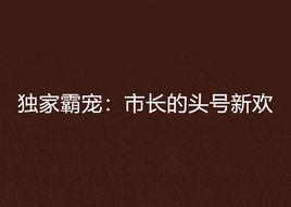 獨家霸寵：市長的頭號新歡