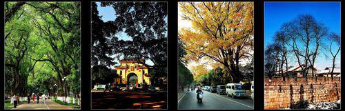 廣西師範大學校園風光（春夏秋冬）