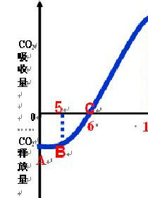 光合作用反應式