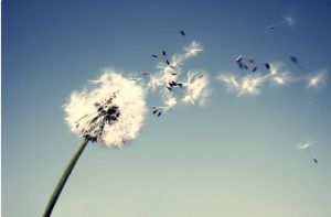 知識演繹者 知識演繹者