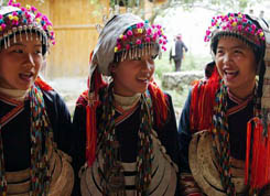 廉州鎮[河北省]