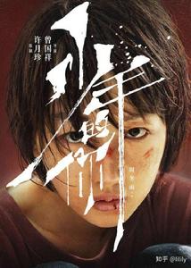 少年的你，如此美麗[曾國祥導演的電影]