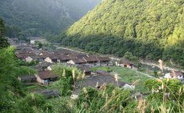 庫頭村[浙江景寧畲族自治縣毛洋鄉轄村]