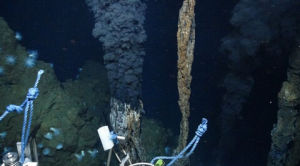 深海熱液 深海熱液