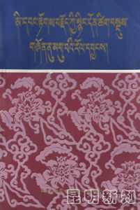 《頗羅鼐傳精要通俗讀本》 《頗羅鼐傳精要通俗讀本》