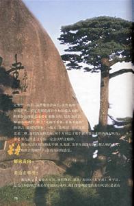 《水墨徽州》插圖