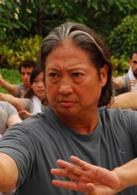 蔡李佛拳[洪天照、洪金寶主演電影]