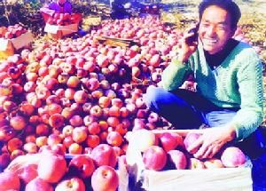 任家塬村 任家塬村