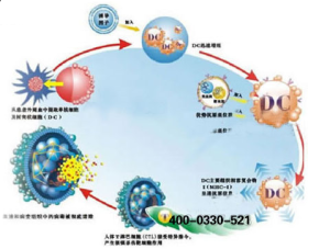 康元手疣淨過程