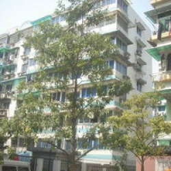 環城東路小區 環城東路小區