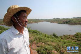 圩子村[安徽宿州市蕭縣新莊鎮圩子村]