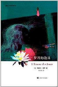 法國二十世紀文學譯叢:歲月的泡沫 法國二十世紀文學譯叢:歲月的泡沫