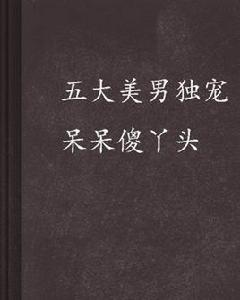 五大美男獨寵呆呆傻丫頭 五大美男獨寵呆呆傻丫頭