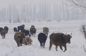 喀拉托海鄉 喀拉托海鄉