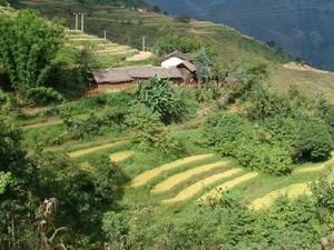 吾孫廟村村莊面貌