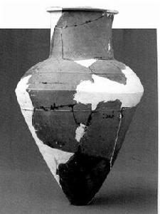 城固寶山遺址 城固寶山遺址