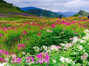 野玉海國際旅遊度假區 野玉海國際旅遊度假區