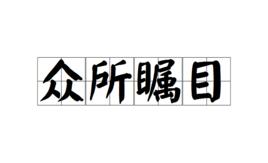 眾所矚目 眾所矚目