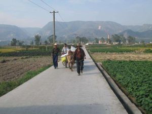 高官營村 高官營村