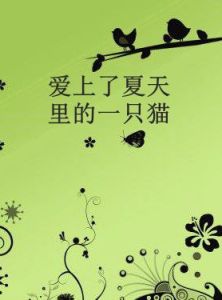 愛上了夏天裡的一隻貓 愛上了夏天裡的一隻貓