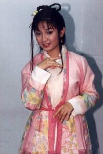 神鵰俠侶[1998年新加坡版范文芳、李銘順主演電視劇]