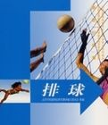 新世紀體育·排球 新世紀體育·排球