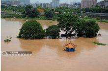 颱風威馬遜[2014年第9號超強颱風]