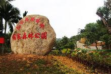 海南興隆僑鄉國家森林公園