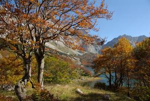 杜米托爾國家公園