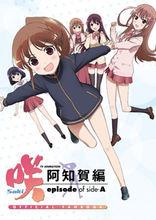 天才麻將少女·阿知賀篇 episode of side-A[Studio五組改編的電視動畫]
