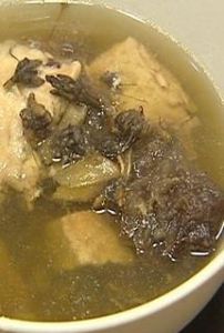 貓爪草瘦肉湯 貓爪草瘦肉湯