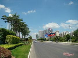 新新大道 新新大道