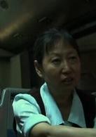 二十四城記[2008年賈樟柯執導電影]