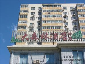 大森林酒店