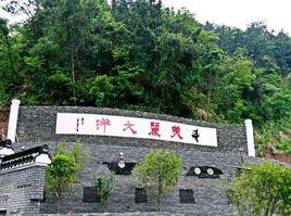 大洋鎮[浙江省杭州市建德市大洋鎮]