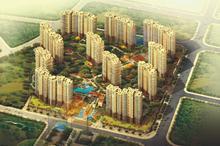 美地大道 美地大道