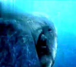 捕食者X 捕食者X