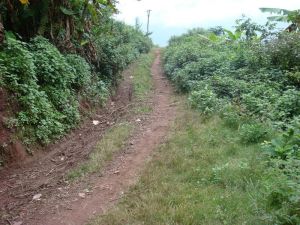 南泥灣自然村 南泥灣自然村