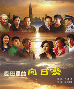 麥田裡的向日葵 麥田裡的向日葵