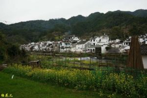 黃村[河南省滑縣白道口鎮黃村]