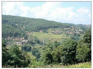 紅渣子箐自然村